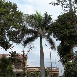 place