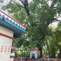 place
