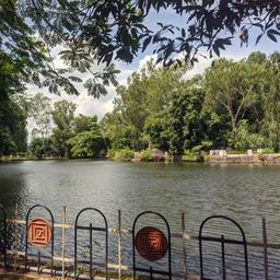 place