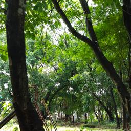 place