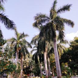 place