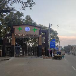 place