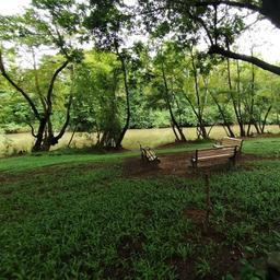 place