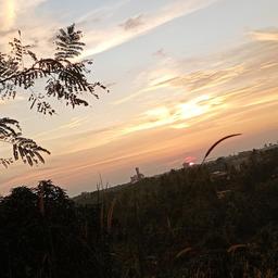 place