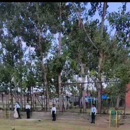 place