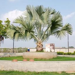 place