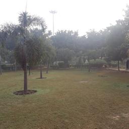 place