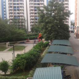 place