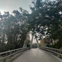 place