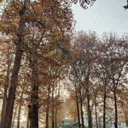 place