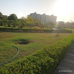 place