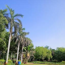 place